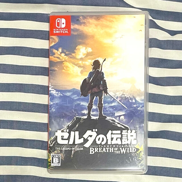 ゼルダの伝説 ブレスオブザワイルド Switch