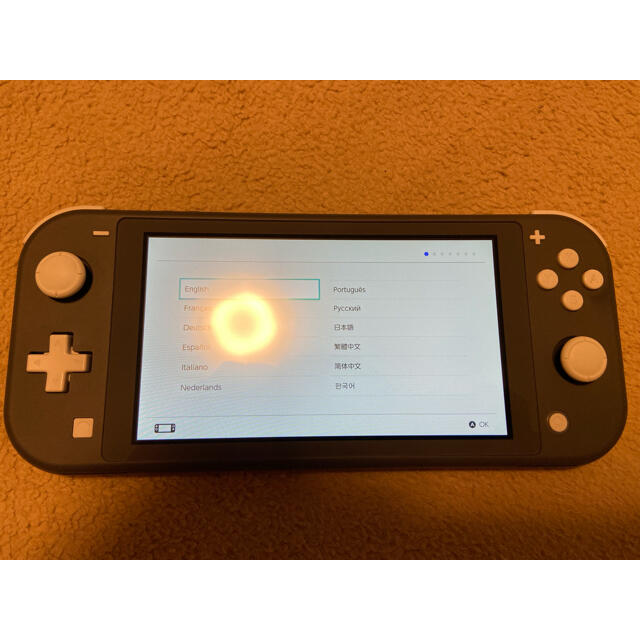 Nintendo Switch NINTENDO SWITCH LITE グレーNintendo