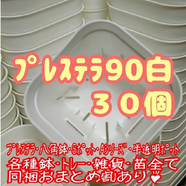 【スリット鉢】プレステラ90白30個 多肉植物 プラ鉢 ハンドメイドのフラワー/ガーデン(プランター)の商品写真