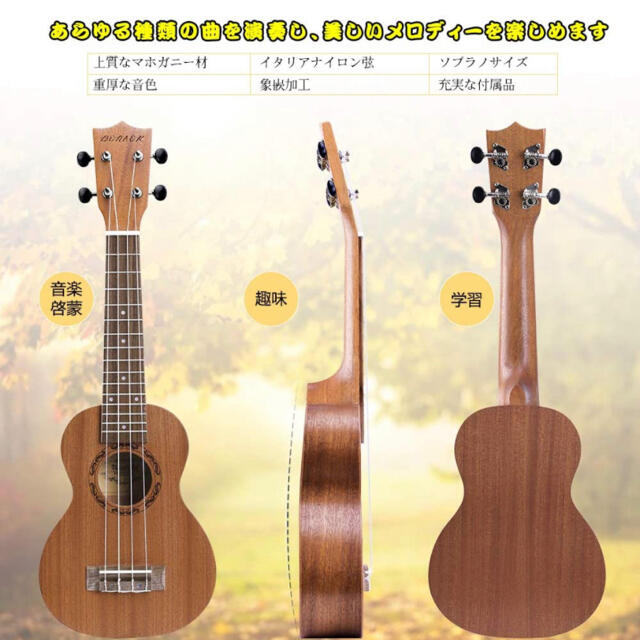 ソプラノウクレレ 付属品8点セット