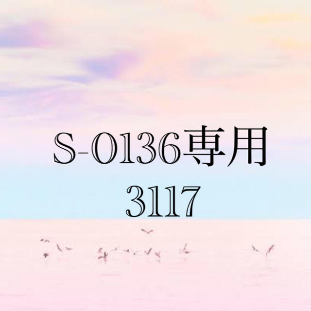 S-0136専用　3117