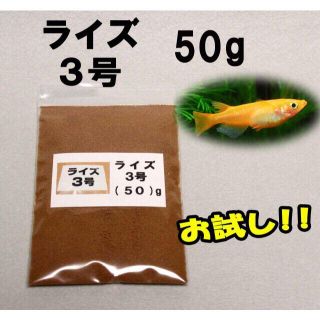 めだか の 餌 エサ◇ライズ３号 ５０ｇ◇メダカ の えさ☆ 愛好家御用達②(アクアリウム)