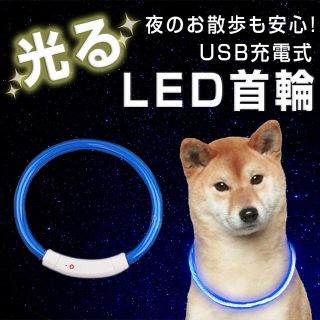 【光る首輪✨】犬猫 新品未使用 LED(リード/首輪)