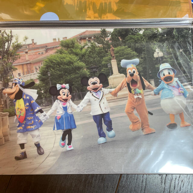 Disney(ディズニー)のlyle様専用 エンタメ/ホビーのおもちゃ/ぬいぐるみ(キャラクターグッズ)の商品写真