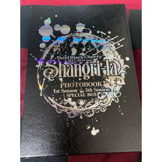 Acid Black Cherry パンフレット13冊