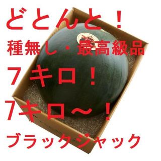 どとんと！　７キロ～　最高級・最高品質の種無しスイカ「ブラックジャック」(フルーツ)