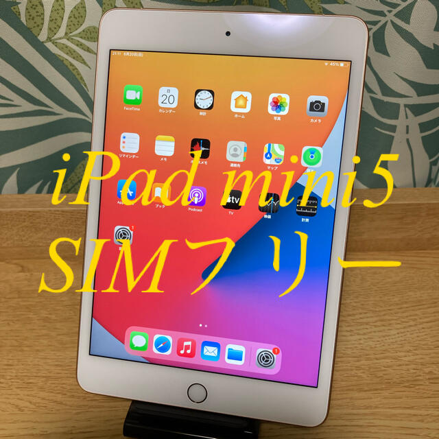 iPad  mini5 cellular SIMフリー　64GB