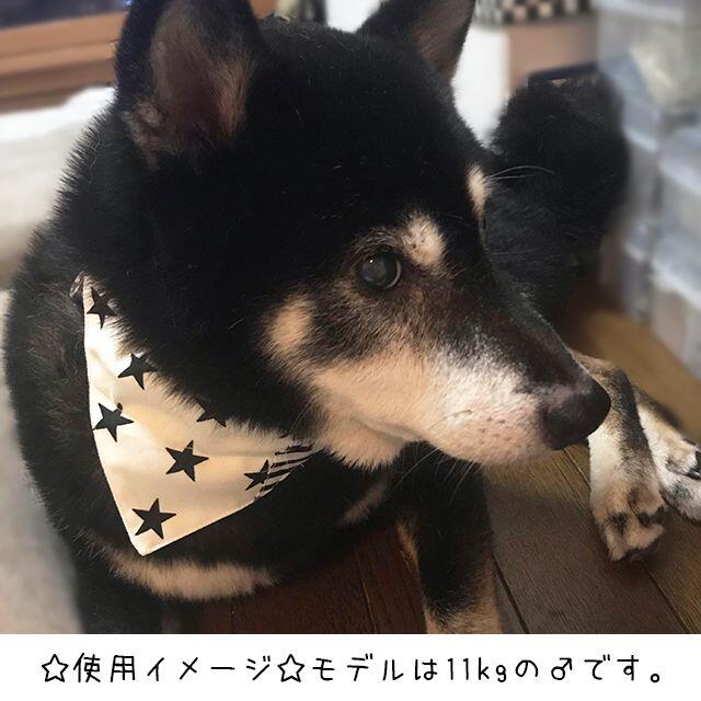 中型犬用バンダナ/唐草模様⑥ n-0144シリーズ その他のペット用品(犬)の商品写真