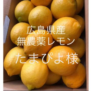 国産　広島県産　無農薬　レモン　たまぴよ様　専用(フルーツ)