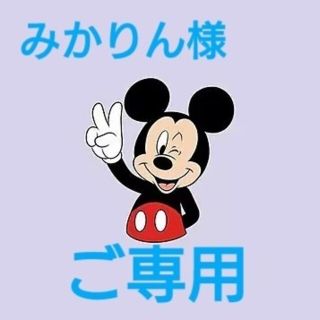 フェイクグリーン(その他)