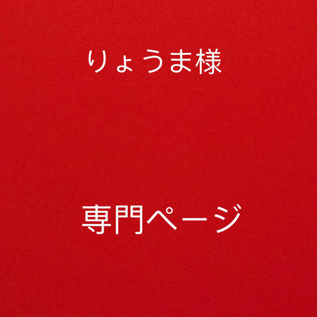 りょうま様 専用ページ - cabager.com