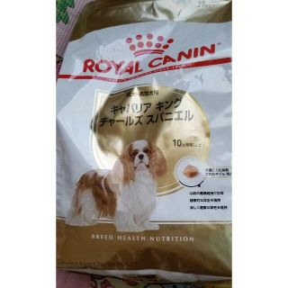 ロイヤルカナン(ROYAL CANIN)のロイヤルカナン　キャバリア　成犬～高齢犬　３ｋｇ　２袋セット(犬)