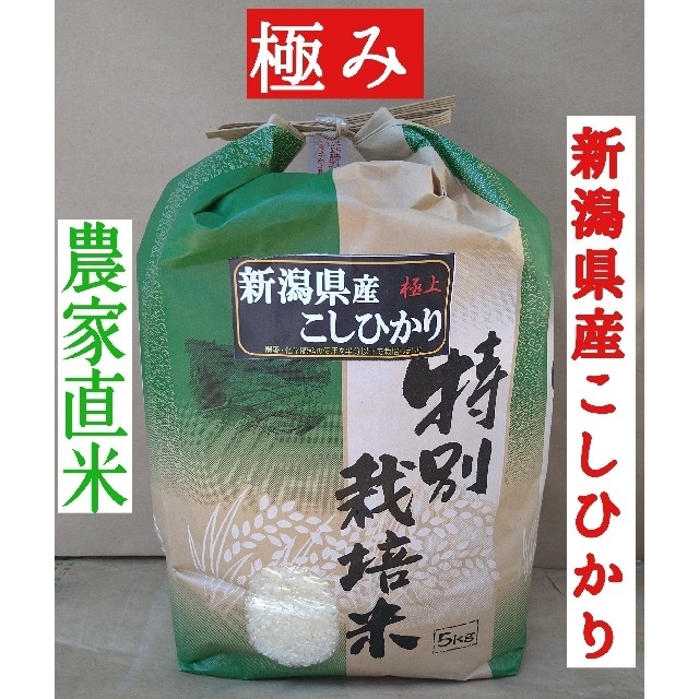 農家直送 令和5年産 コシヒカリ 10kg 新米 玄米 分づき 無洗米 10キロ