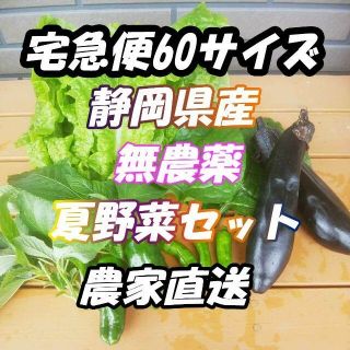 60サイズ*送料無料*静岡県産*無農薬*夏野菜*詰め合わせセット*農家直送(野菜)