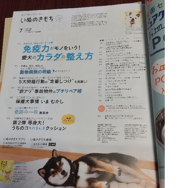 いぬのきもち2021年7月号、2020年7月号、付録2冊セット◆値下げしました◆ エンタメ/ホビーの雑誌(専門誌)の商品写真