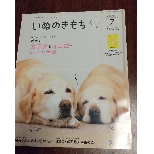 いぬのきもち2021年7月号、2020年7月号、付録2冊セット◆値下げしました◆ エンタメ/ホビーの雑誌(専門誌)の商品写真