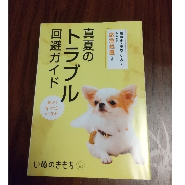 いぬのきもち2021年7月号、2020年7月号、付録2冊セット◆値下げしました◆ エンタメ/ホビーの雑誌(専門誌)の商品写真