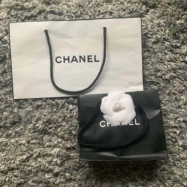 CHANEL(シャネル)のCHANEL シャネル　ショッパー　2個セット レディースのバッグ(ショップ袋)の商品写真