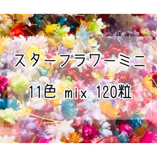 ★大人気★ｽﾀｰﾌﾗﾜｰﾐﾆ11色mix120粒☆ﾄﾞﾗｲﾌﾗﾜｰ箱入おまけ付き(ドライフラワー)