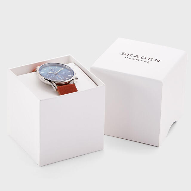 レディース ギフトセット 腕時計 リクルート SKAGEN - www.onkajans.com