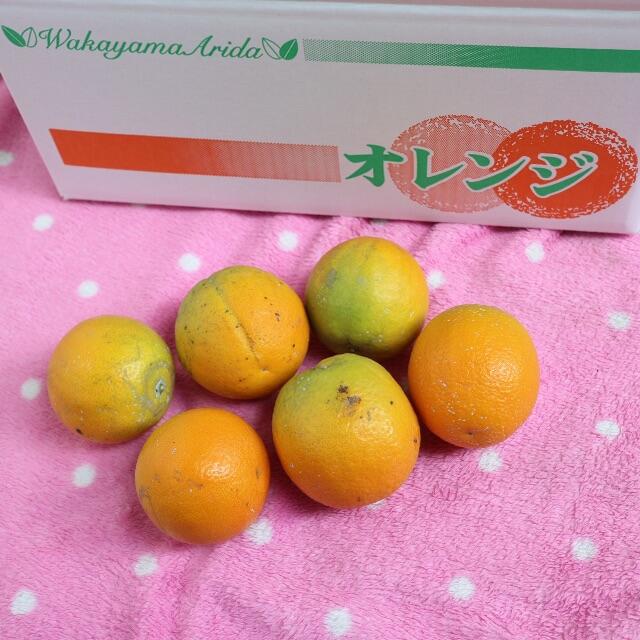 和歌山有田産 バレンシアオレンジ 3kg 食品/飲料/酒の食品(フルーツ)の商品写真