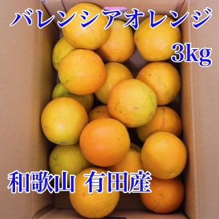 和歌山有田産 バレンシアオレンジ 3kg(フルーツ)