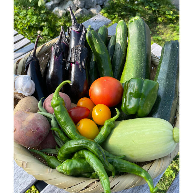 無農薬　野菜　詰め合わせ 食品/飲料/酒の食品(野菜)の商品写真