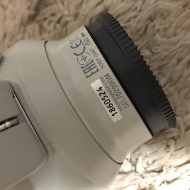 SONY FE 70-200 F2.8 GM OSS 保護フィルター付き 極美品