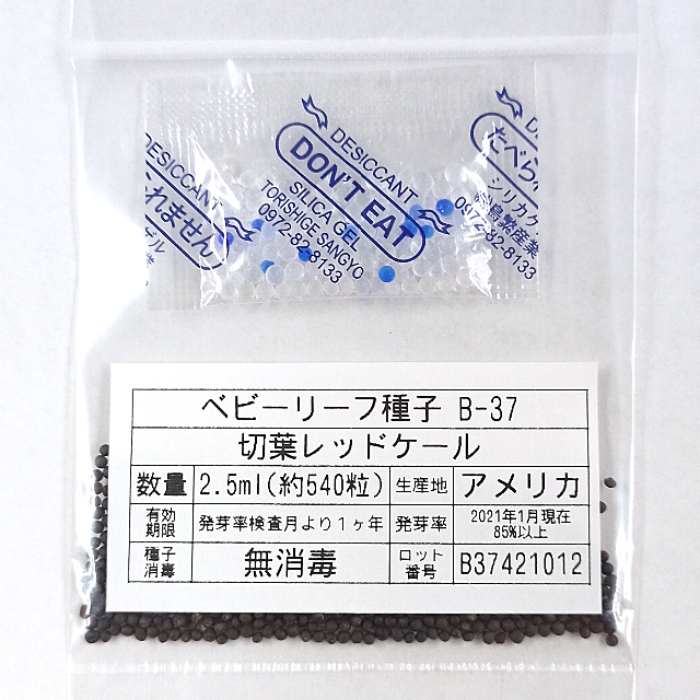 ベビーリーフ種子 B-37 切葉レッドケール 2.5ml 約540粒 x 2袋 食品/飲料/酒の食品(野菜)の商品写真