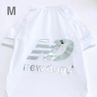 ☆新品☆新作NewDogsニュードッグスMサイズ犬服春夏用Tシャツペット服白銀☆(ペット服/アクセサリー)