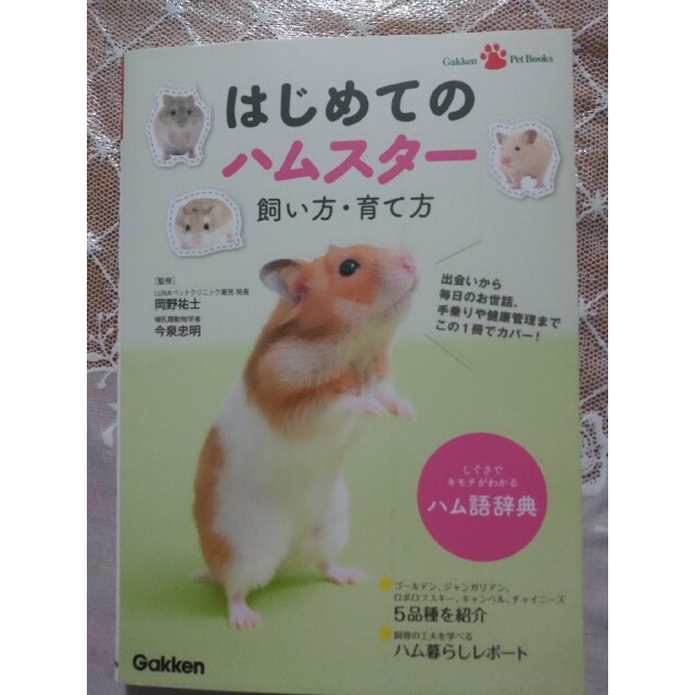 はじめてのハムスタ－飼い方・育て方 エンタメ/ホビーの本(住まい/暮らし/子育て)の商品写真