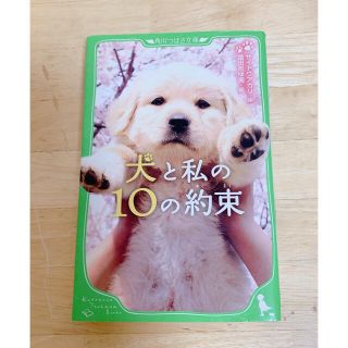 犬と私の10の約束 読書感想文の通販 6点 フリマアプリ ラクマ 犬と私の10の約束 読書感想文の通販 6点 フリマアプリ ラクマ