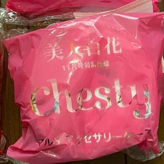 チェスティ(Chesty)の美人百花　チェスティ　マルチアクセサリーケース(ポーチ)