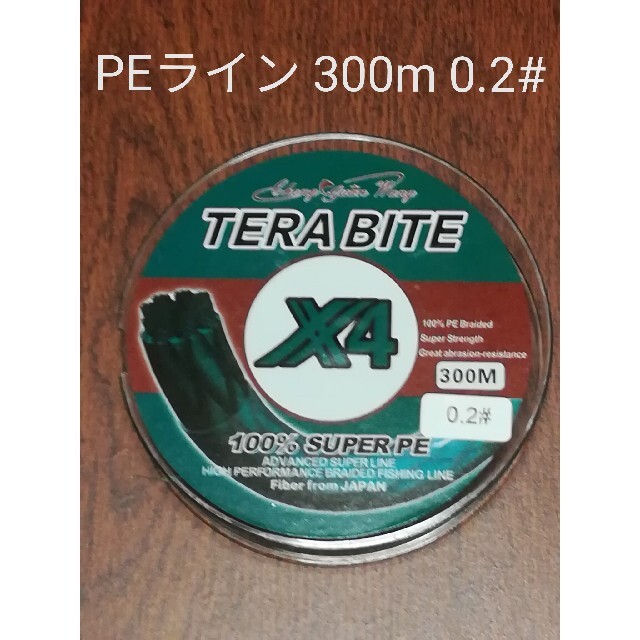 TERABITE PEライン(4本編み),300m巻,0.2# スポーツ/アウトドアのフィッシング(釣り糸/ライン)の商品写真