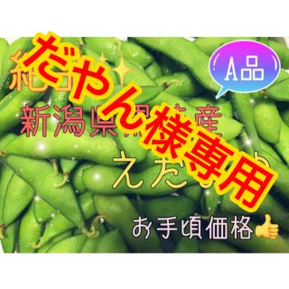 【おつな姫】新潟県 黒埼産 えだまめ A品2kg  B品2kg×2(野菜)