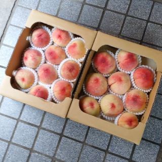 桃 果物 山梨県 2ケースのみ(フルーツ)