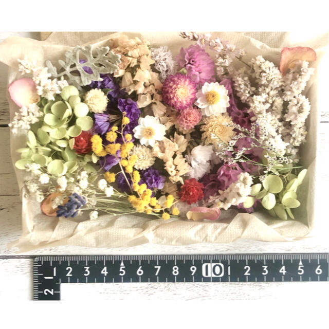 ドライフラワー花材セット❇︎No.202⁑スターチス❇︎アナベル ハンドメイドのフラワー/ガーデン(ドライフラワー)の商品写真