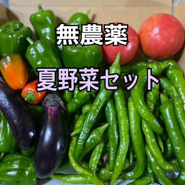 夏野菜詰め合わせセット 食品/飲料/酒の食品(野菜)の商品写真