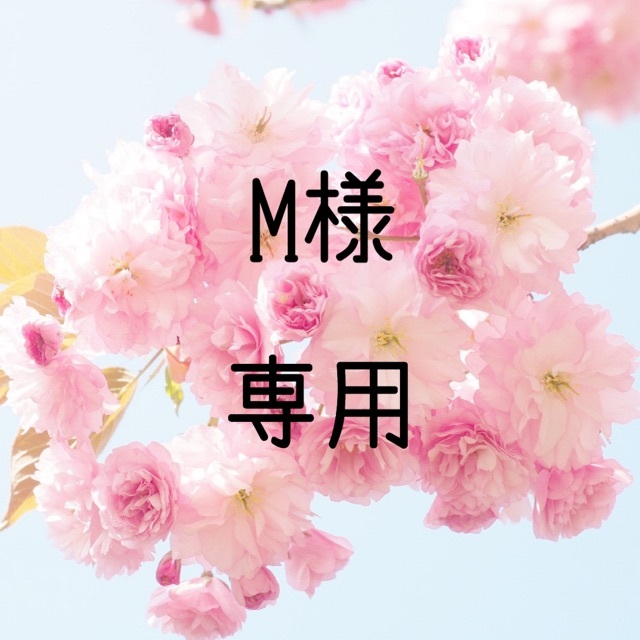 M  お米　令和2年　愛媛県産松山三井　玄米　20㎏