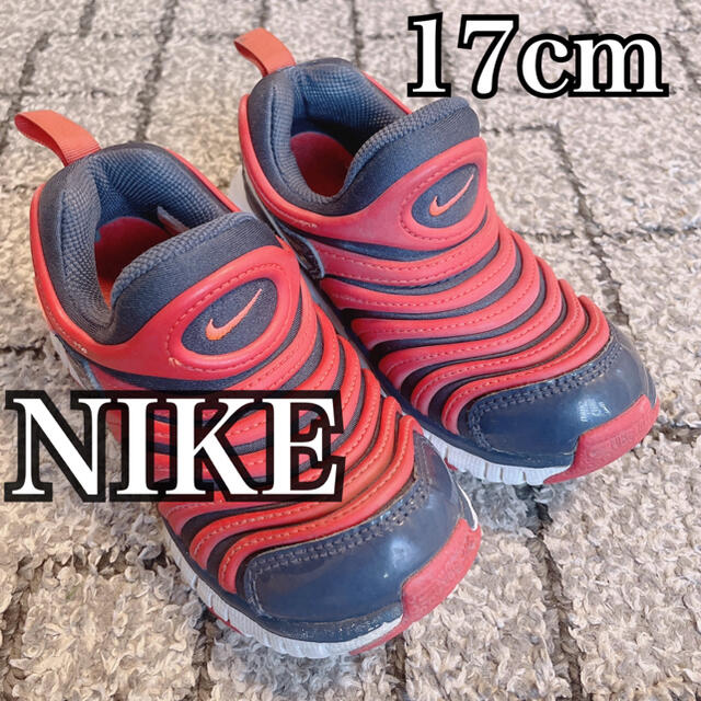 NIKE(ナイキ)の【17cm】ダイナモフリー NIKE スニーカー 男の子 女の子 キッズ/ベビー/マタニティのキッズ靴/シューズ(15cm~)(スニーカー)の商品写真