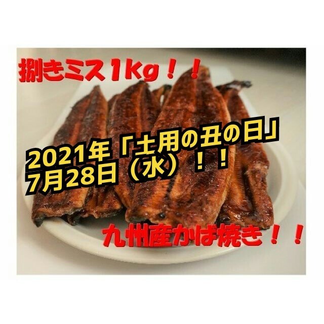 お届け日時指定可！九州産うなぎ蒲焼１㎏（捌きミス・冷凍便）食品