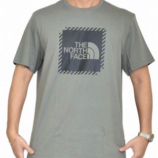 ザノースフェイス(THE NORTH FACE)のThe north face Biner Graphic 2(Tシャツ/カットソー(半袖/袖なし))