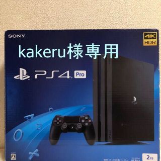 プレイステーション4(PlayStation4)のkakeru様ご購入専用ページ(家庭用ゲーム機本体)