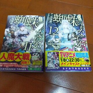 蜘蛛ですが、なにか？ １１、12(文学/小説)