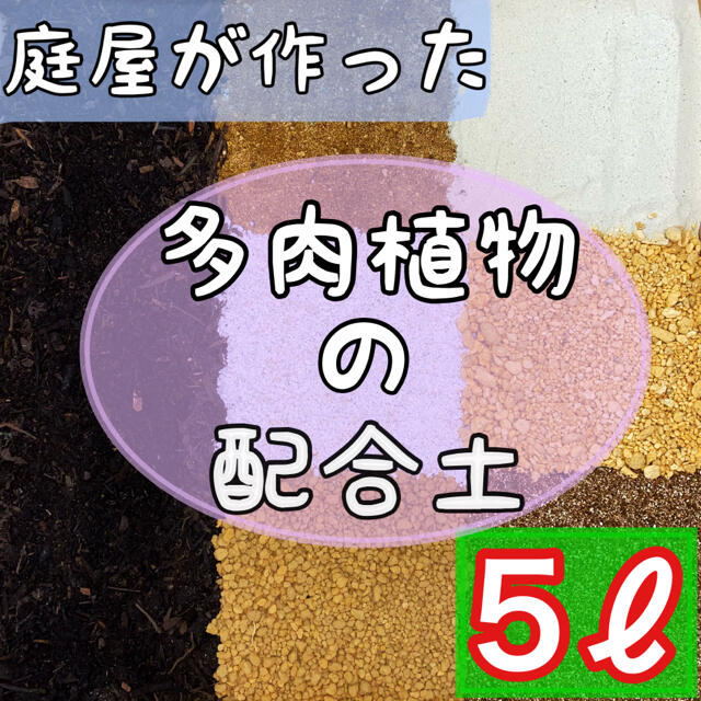 庭屋が作った多肉配合土 5ℓ 多肉植物 サボテン 挿木 種まき 魂根植物の通販 By 庭知 ラクマ 庭屋が作った多肉配合土 5ℓ 多肉植物 サボテン 挿木 種まき 魂根植物の通販 By 庭知 ラクマ