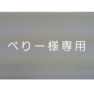 べりー様専用(その他)