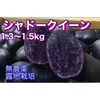 じゃがいも 馬鈴薯 シャドークイーン 1.5kg(野菜)