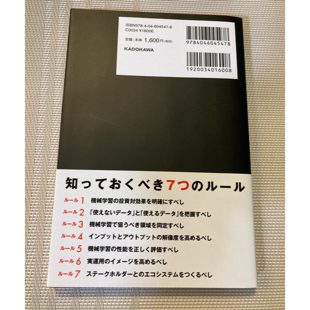 ＡＩ導入７つのルール 投資対効果を最大化する エンタメ/ホビーの本(ビジネス/経済)の商品写真