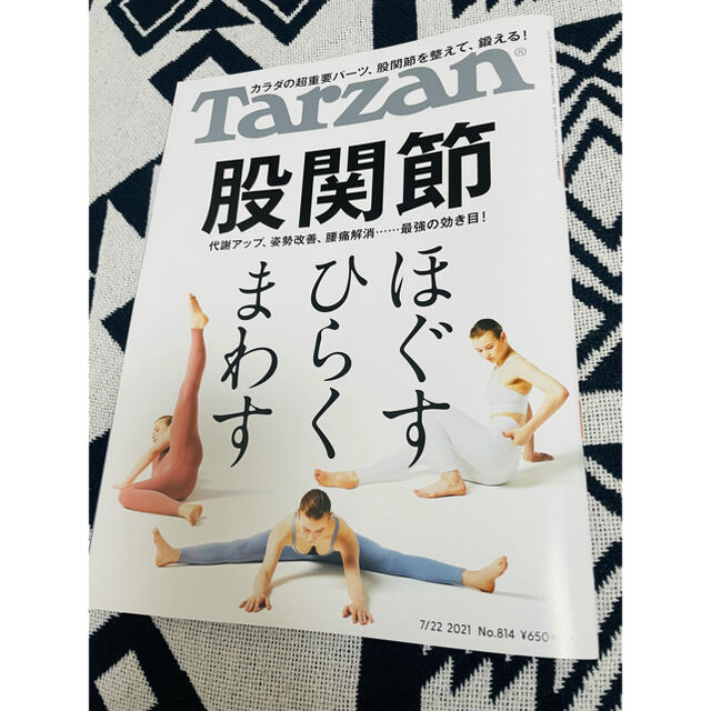 マガジンハウス(マガジンハウス)のTarzan ターザン No.814 股関節 エンタメ/ホビーの雑誌(生活/健康)の商品写真