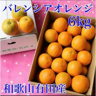 和歌山有田産 バレンシアオレンジ 6kg (送料込み)(フルーツ)